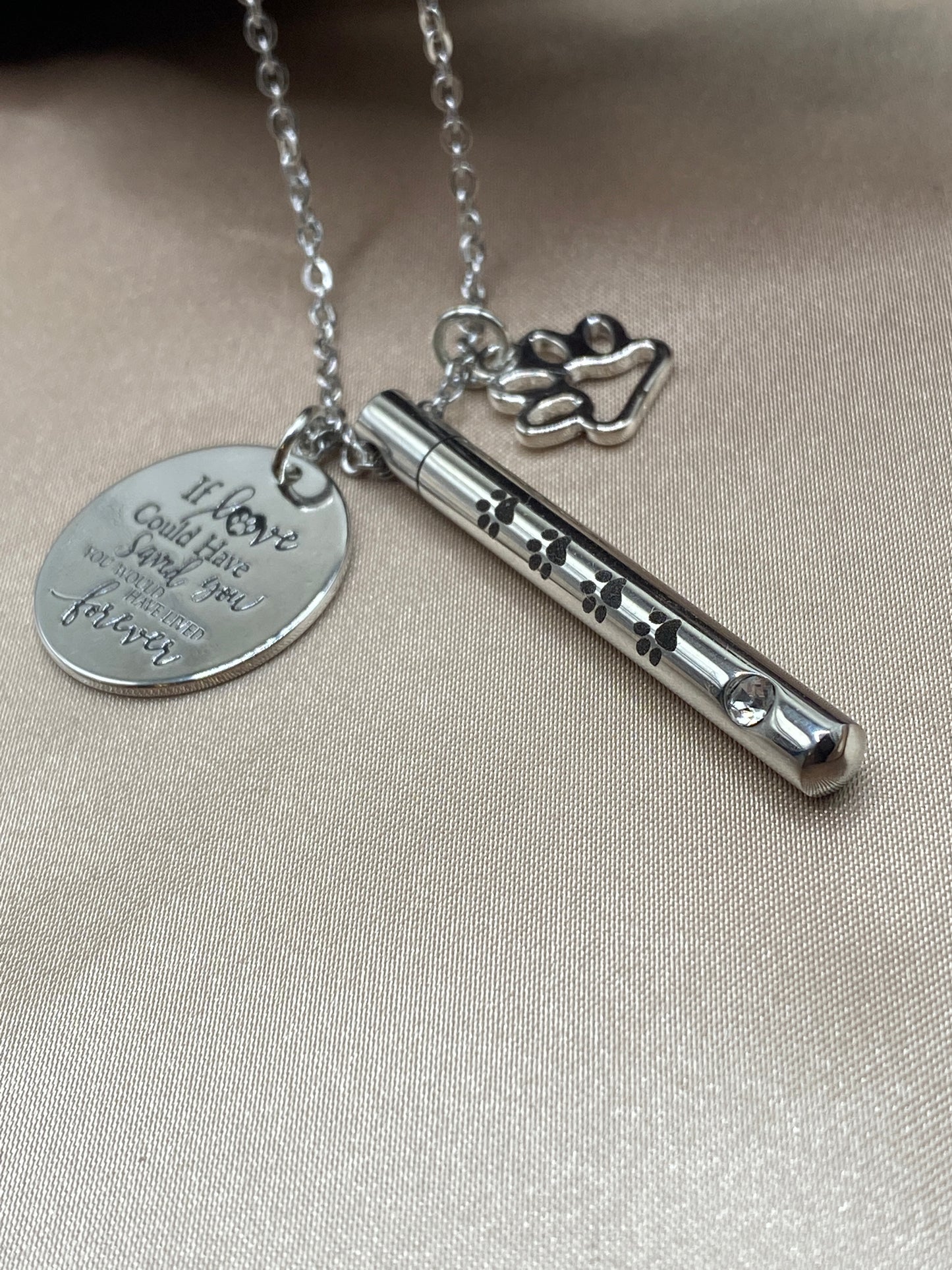 Stainless steel cremation necklace with crystal stone, paw print charm and inspirational charm